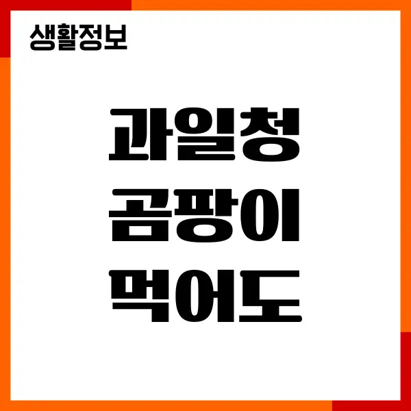 과일청 곰팡이 먹어도 되나요 예방 및 대처법
