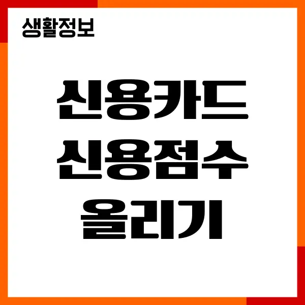 신용카드 신용점수 올리기, 발급기준, 조건, 발급받기