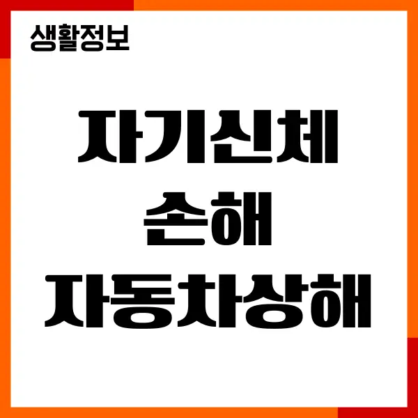 자기신체손해 자동차상해 차이점, 피해보상, 보험료 산정