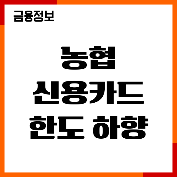 농협 신용카드 한도 하향 이유, 상향 조건, 절차, 이용후기