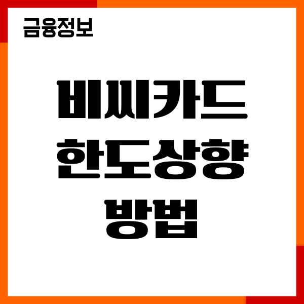 비씨카드 한도상향 방법, 절차, 기간, 핵심전략, 후기