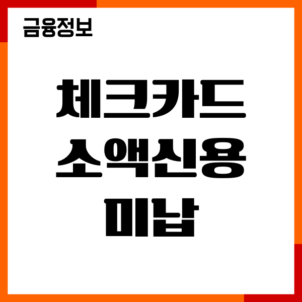 체크카드 소액신용 미납, 대처방법, 연체관리, 주의사항